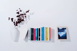 這個會隱身的酒店 是通往二次元的傳送門